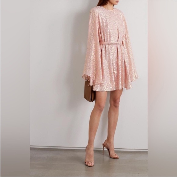 STELLA MCCARTNEY Delia belted metallic coupé silk-chiffon mini dress $1,698 - Picture 5 of 14
